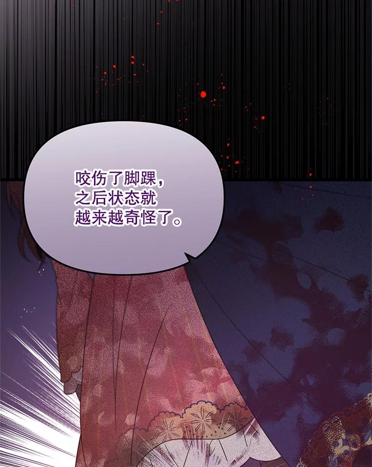 《必须先从丧尸堆里活下来的XX的情况》7.他不可能救您 第104页