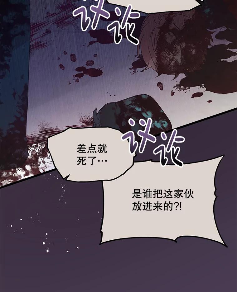 《必须先从丧尸堆里活下来的XX的情况》8.亲手杀你 第3页