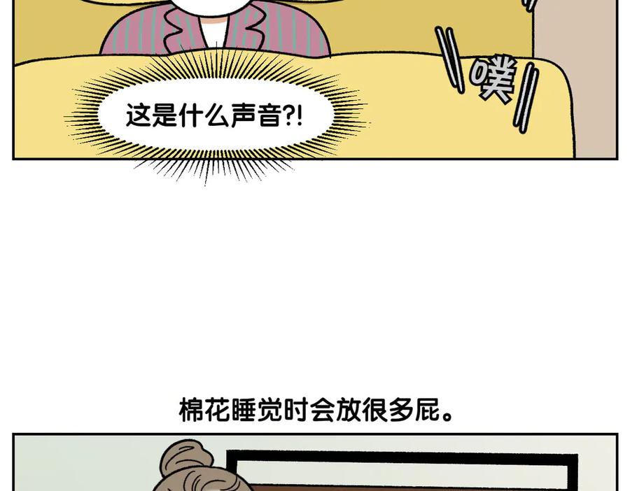 《我的狗子叫棉花》第54话 一起在床上睡吧 第38页