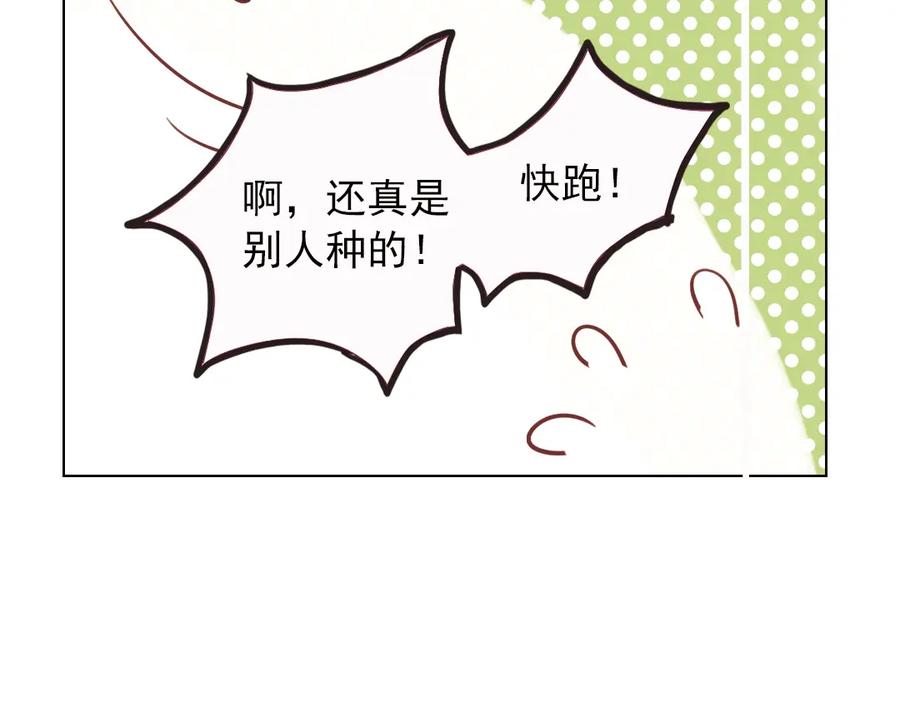 《薄荷之夏》第38话（下）想说的话 第67页