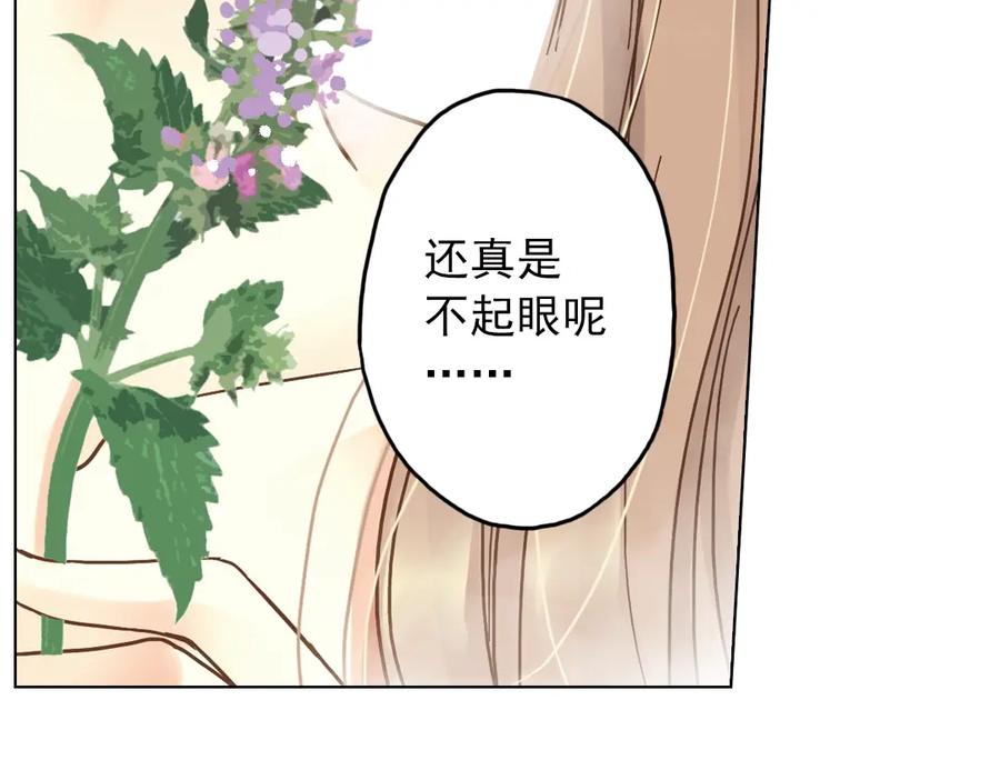 《薄荷之夏》第7话 初夏的薄荷草 第124页