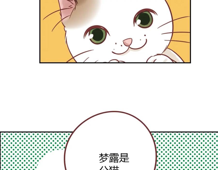 《薄荷之夏》第40话（下） 回到最初的地方 第4页