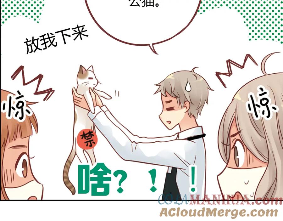 《薄荷之夏》第40话（下） 回到最初的地方 第5页