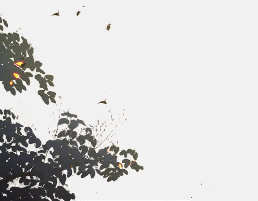 爱之欲其生【杀妻系统】 - 第八话 出水玉芙蓉 - 第43张图
