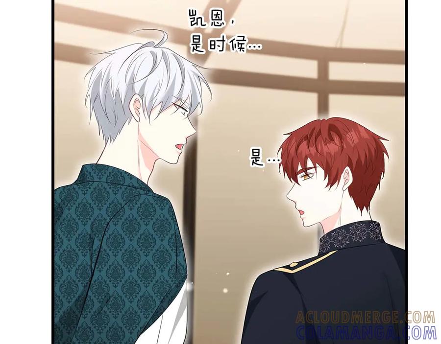 《伯爵大人夜未眠》第62话 兄弟之情就此做了结吧 第41页