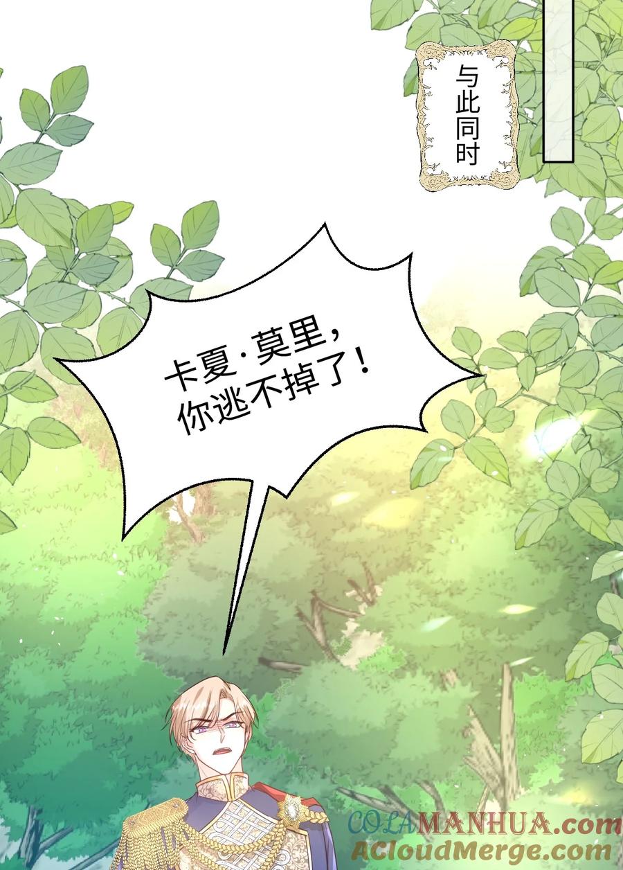 《伯爵的舔狗日记》第十四话 迷惑人的资本 第41页