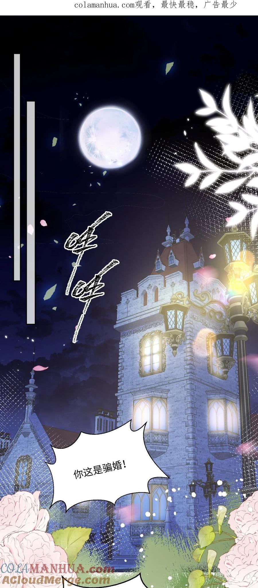《伯爵的舔狗日记》二十二话 新婚夜 第1页