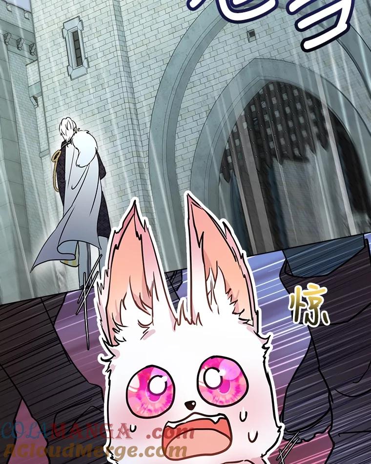 重生为神兽宝宝 - 3.魔法师 - 第10张图