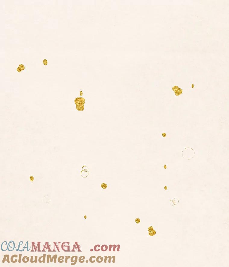 《在流星坠落之处等待》80.银色猫头鹰（4） 第61页