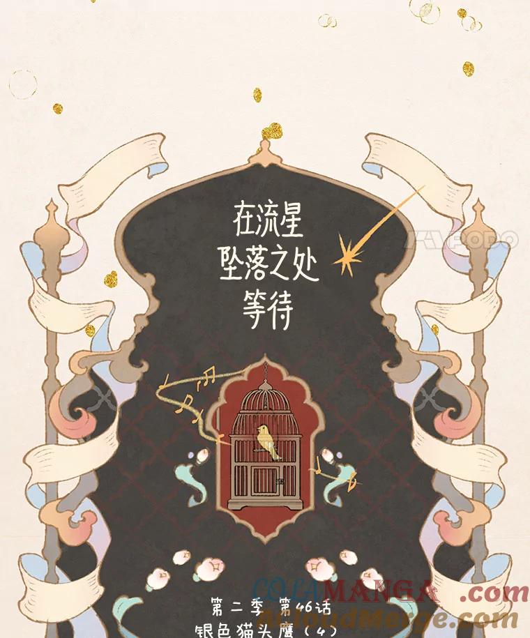《在流星坠落之处等待》80.银色猫头鹰（4） 第22页