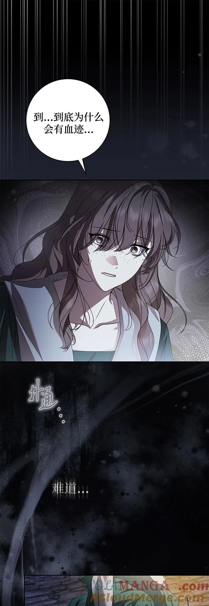 《伯爵家的神秘侍女》第41话 第25页