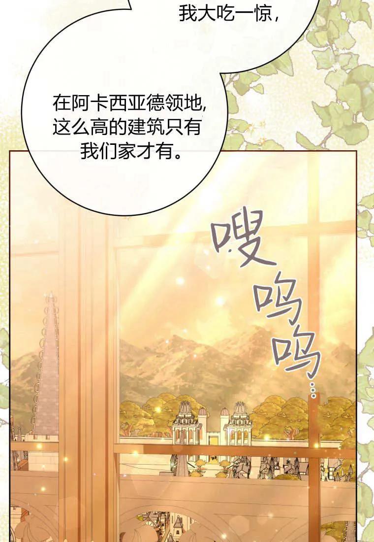 黑幕虎鲸宝宝 第41话 第32页