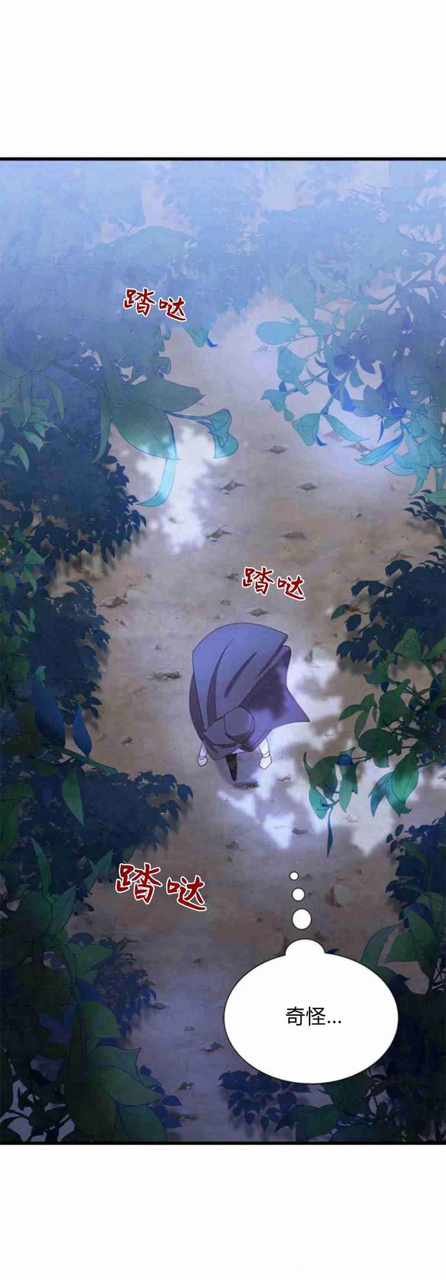 伯爵小姐的双重生活 第09话 第47页