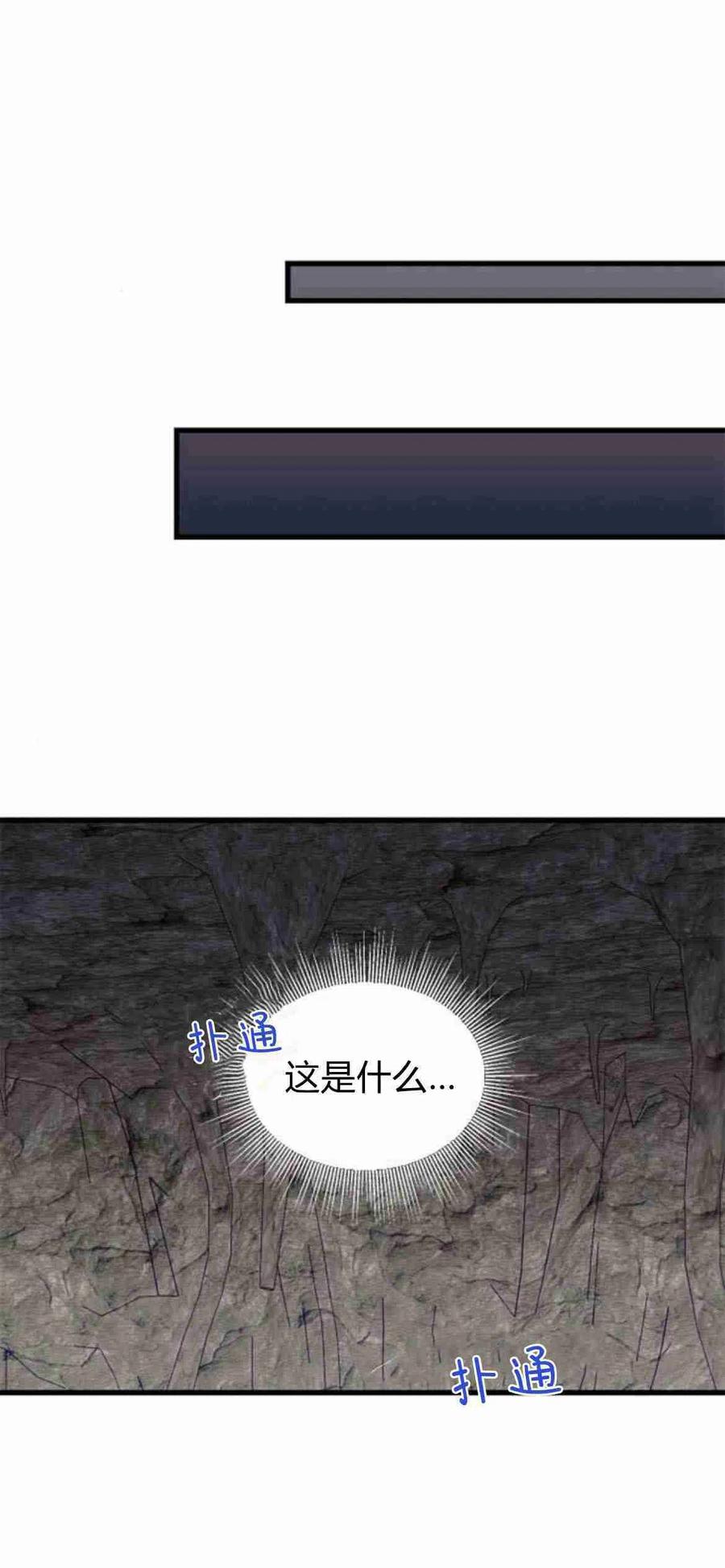 伯爵小姐的双重生活 第10话 第38页