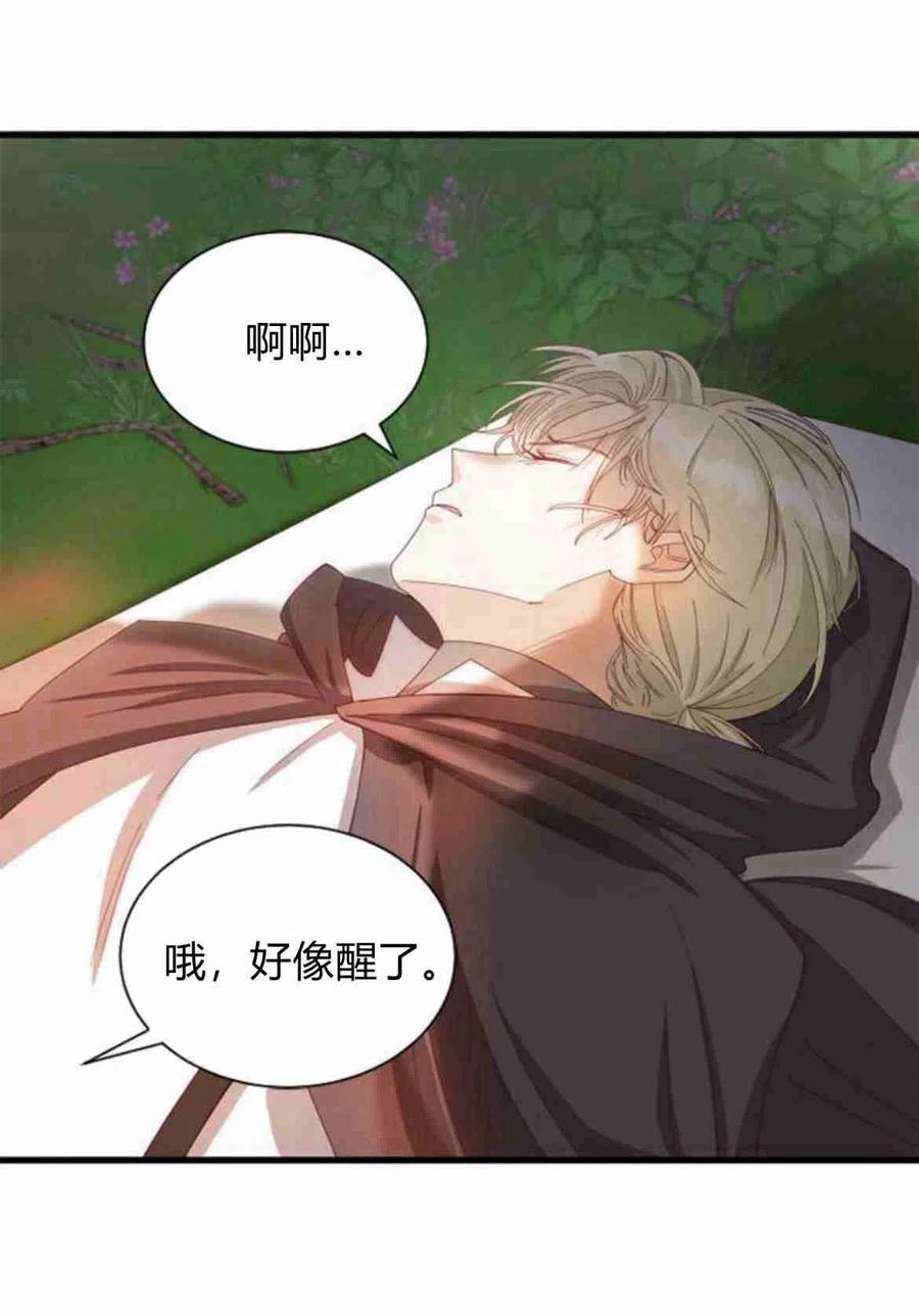 伯爵小姐的双重生活 第11话 第15页