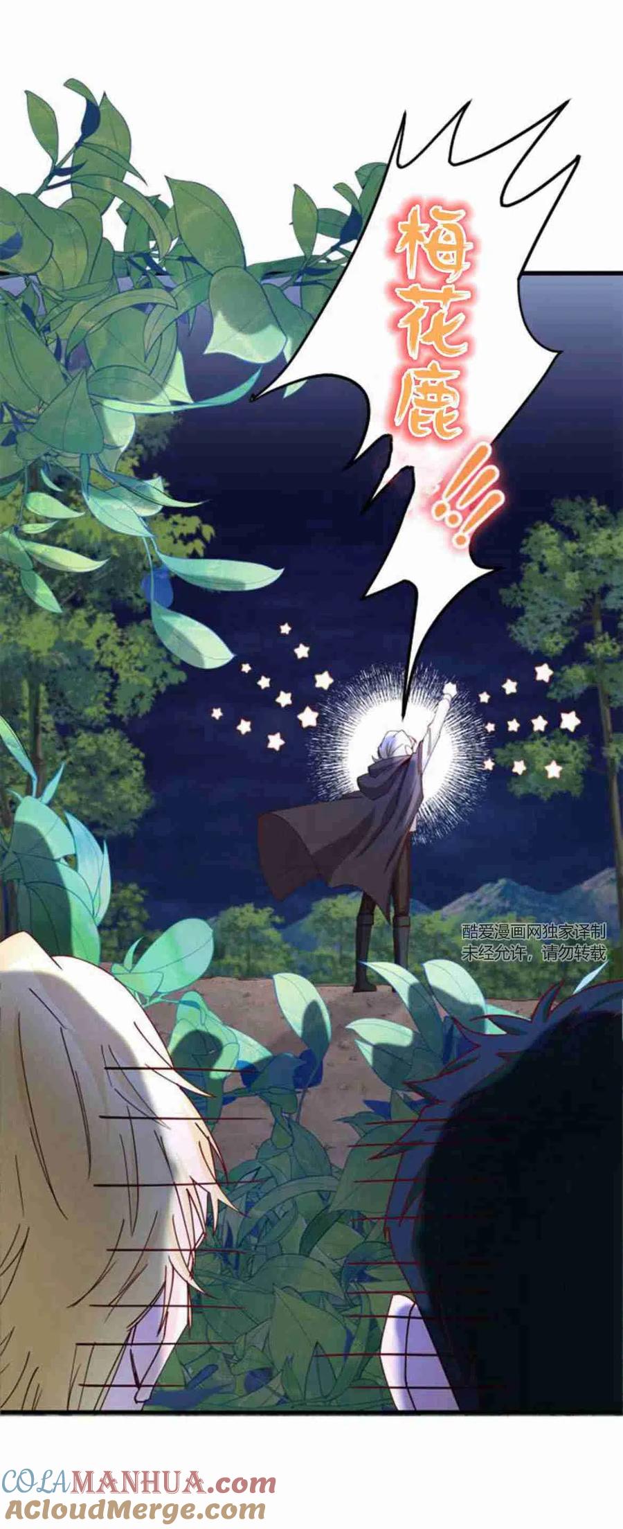 伯爵小姐的双重生活 第11话 第10页