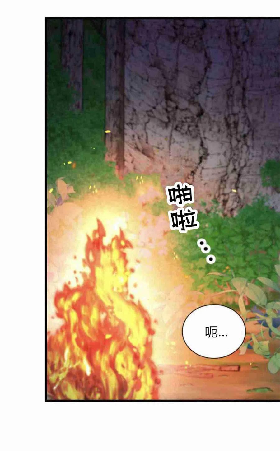 伯爵小姐的双重生活 第11话 第14页