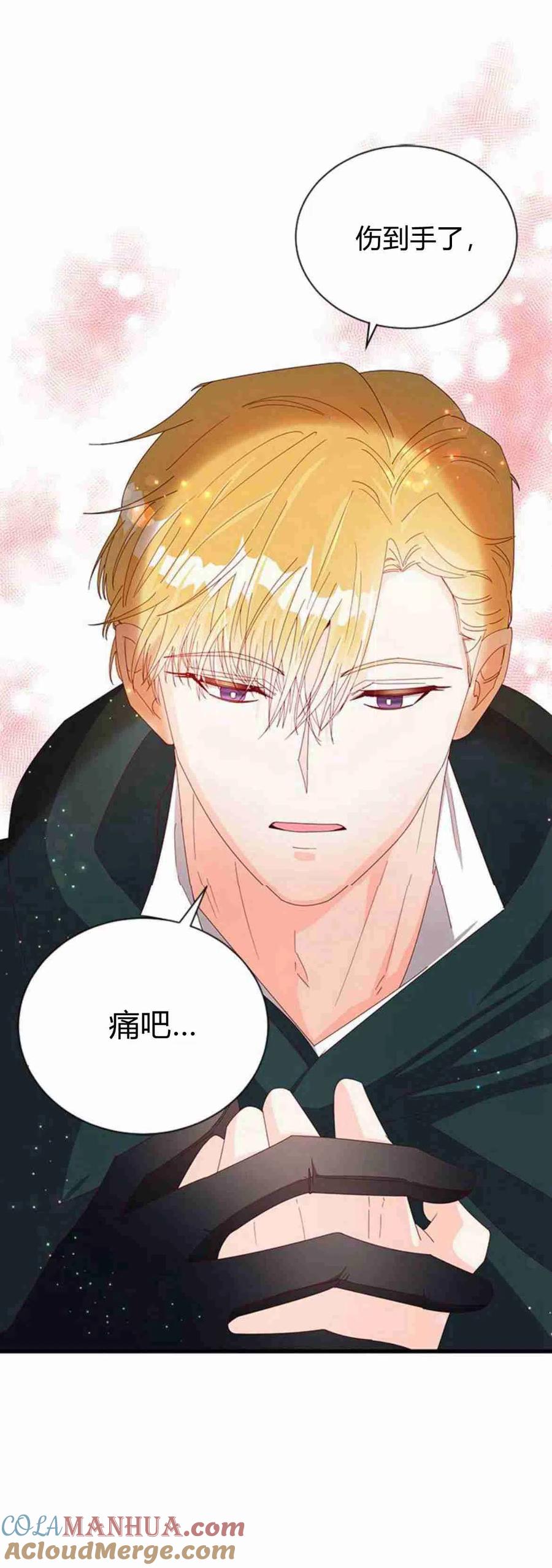 伯爵小姐的双重生活 第11话 第37页