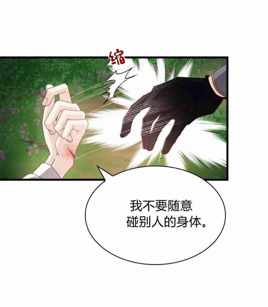 伯爵小姐的双重生活 第11话 第39页