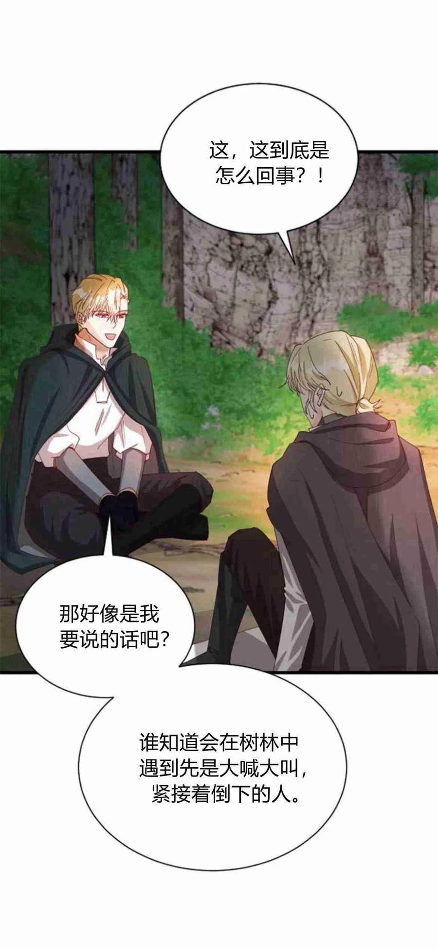 伯爵小姐的双重生活 第11话 第24页