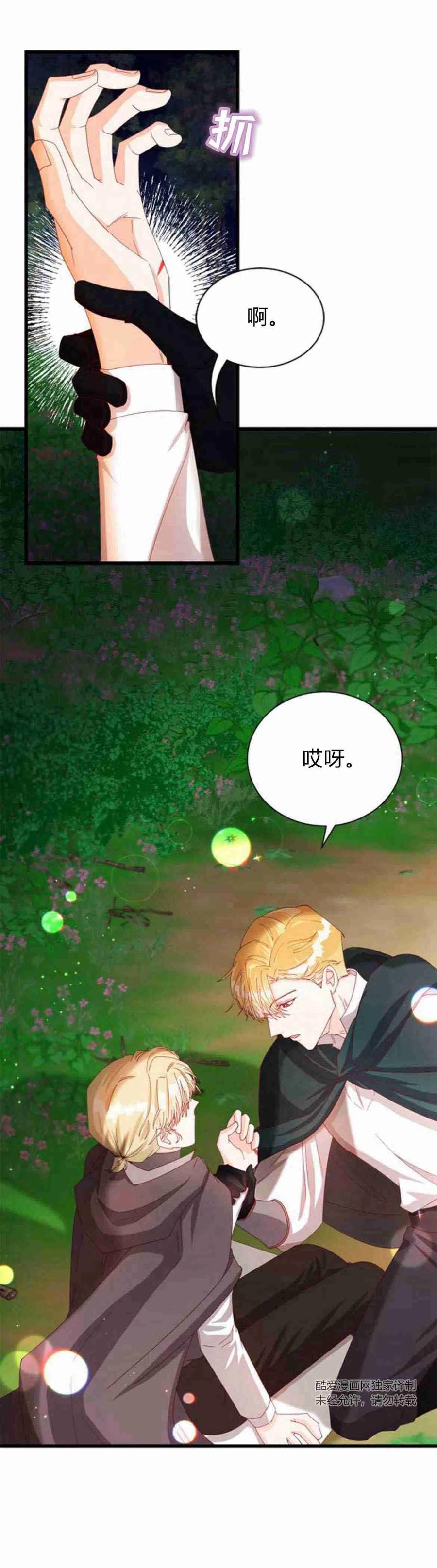 伯爵小姐的双重生活 第11话 第36页