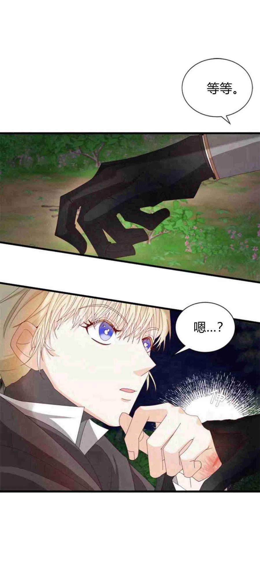 伯爵小姐的双重生活 第11话 第35页