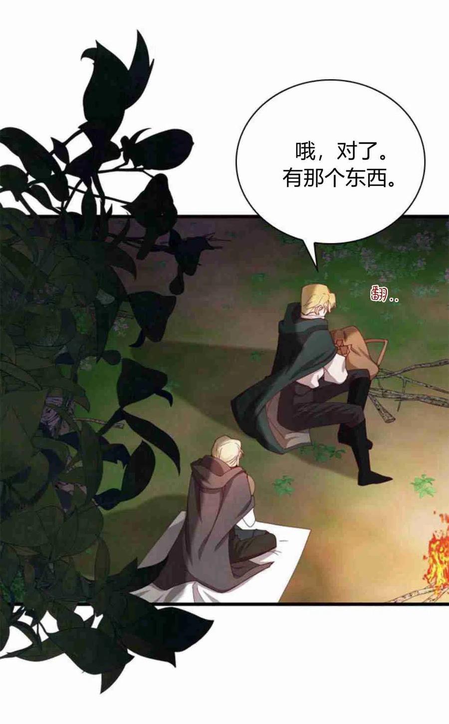 伯爵小姐的双重生活 第11话 第65页