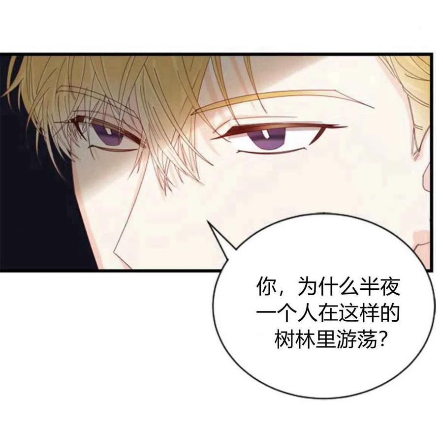 伯爵小姐的双重生活 第11话 第45页