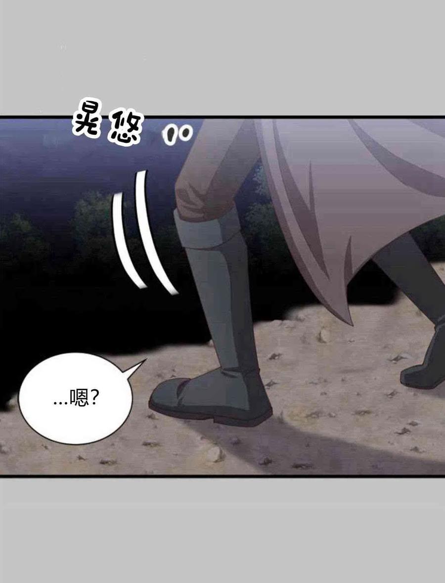 伯爵小姐的双重生活 第11话 第29页