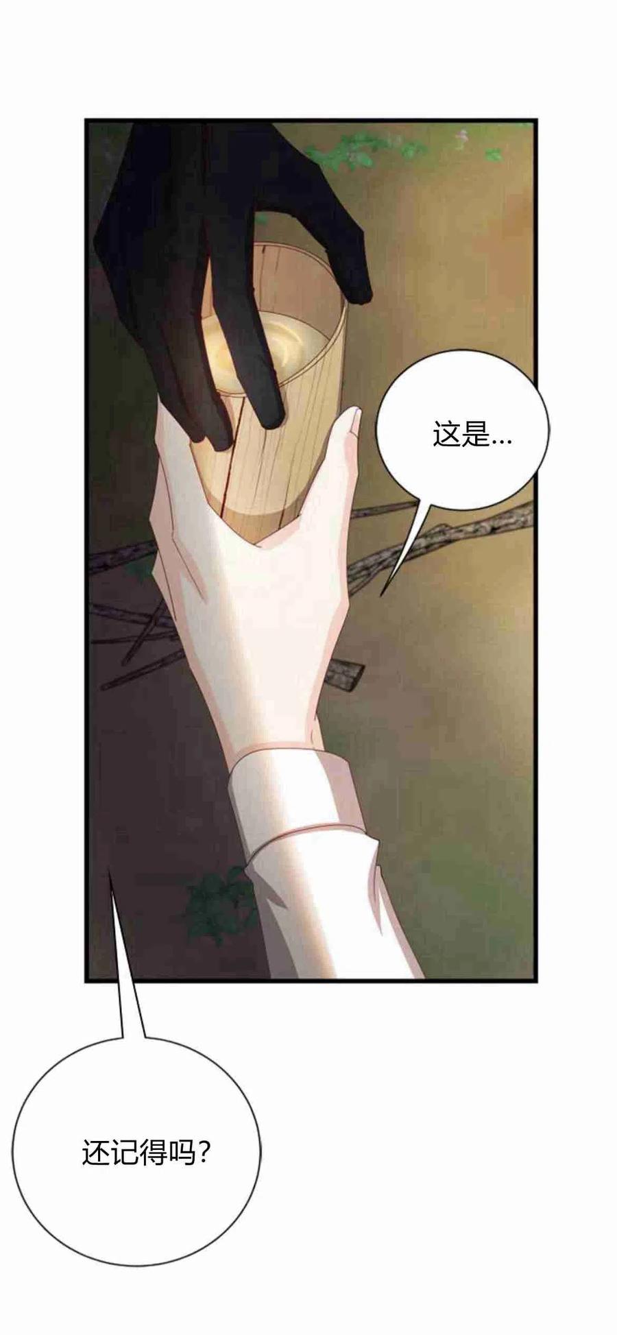 伯爵小姐的双重生活 第11话 第68页