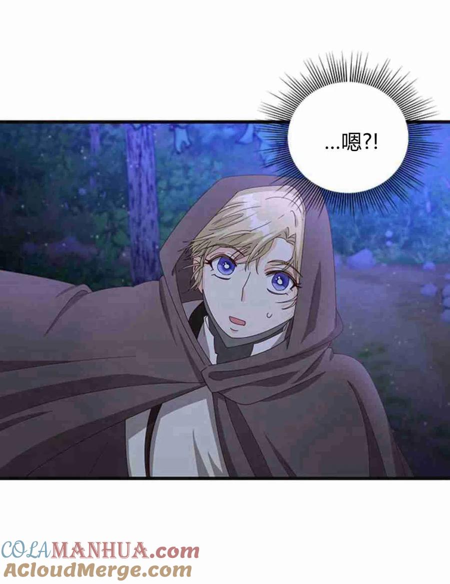 伯爵小姐的双重生活 第12话 第72页