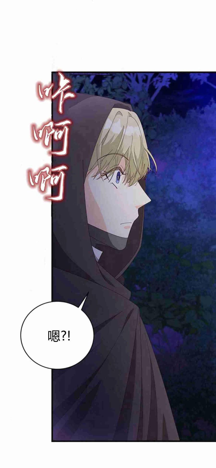 伯爵小姐的双重生活 第12话 第67页
