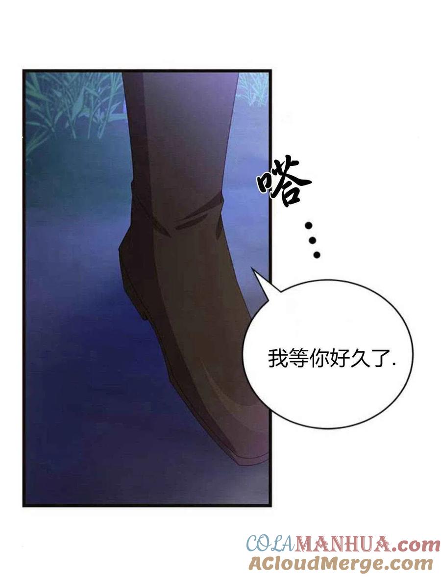 伯爵小姐的双重生活 第12话 第75页