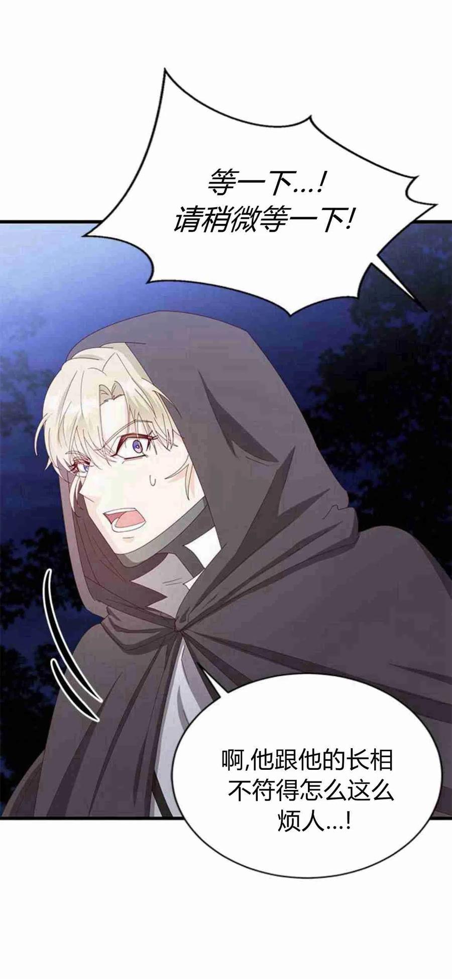 伯爵小姐的双重生活 第13话 第47页