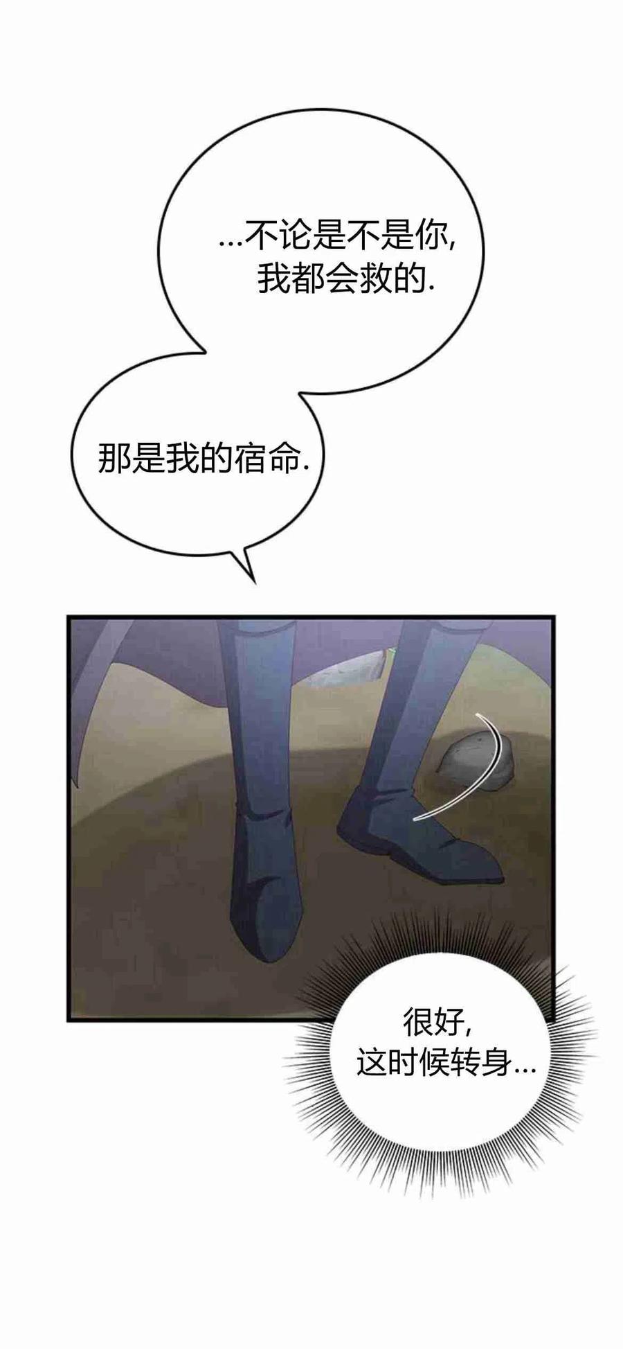 伯爵小姐的双重生活 第13话 第29页