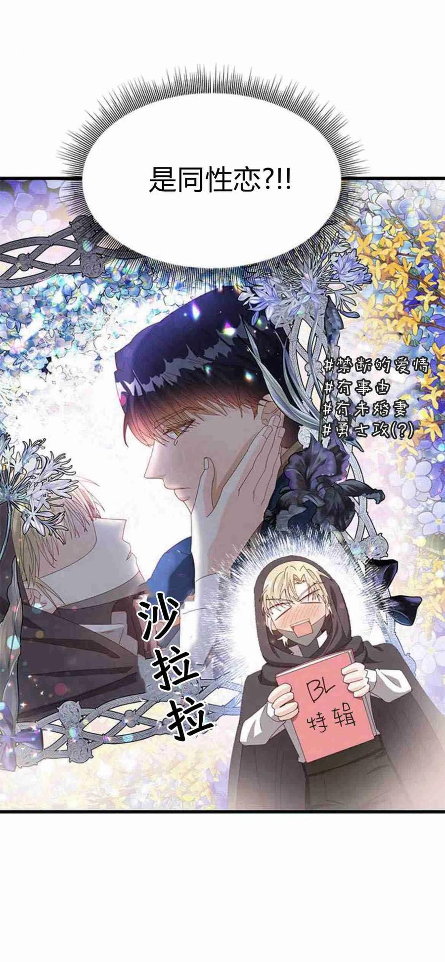 伯爵小姐的双重生活 第13话 第15页