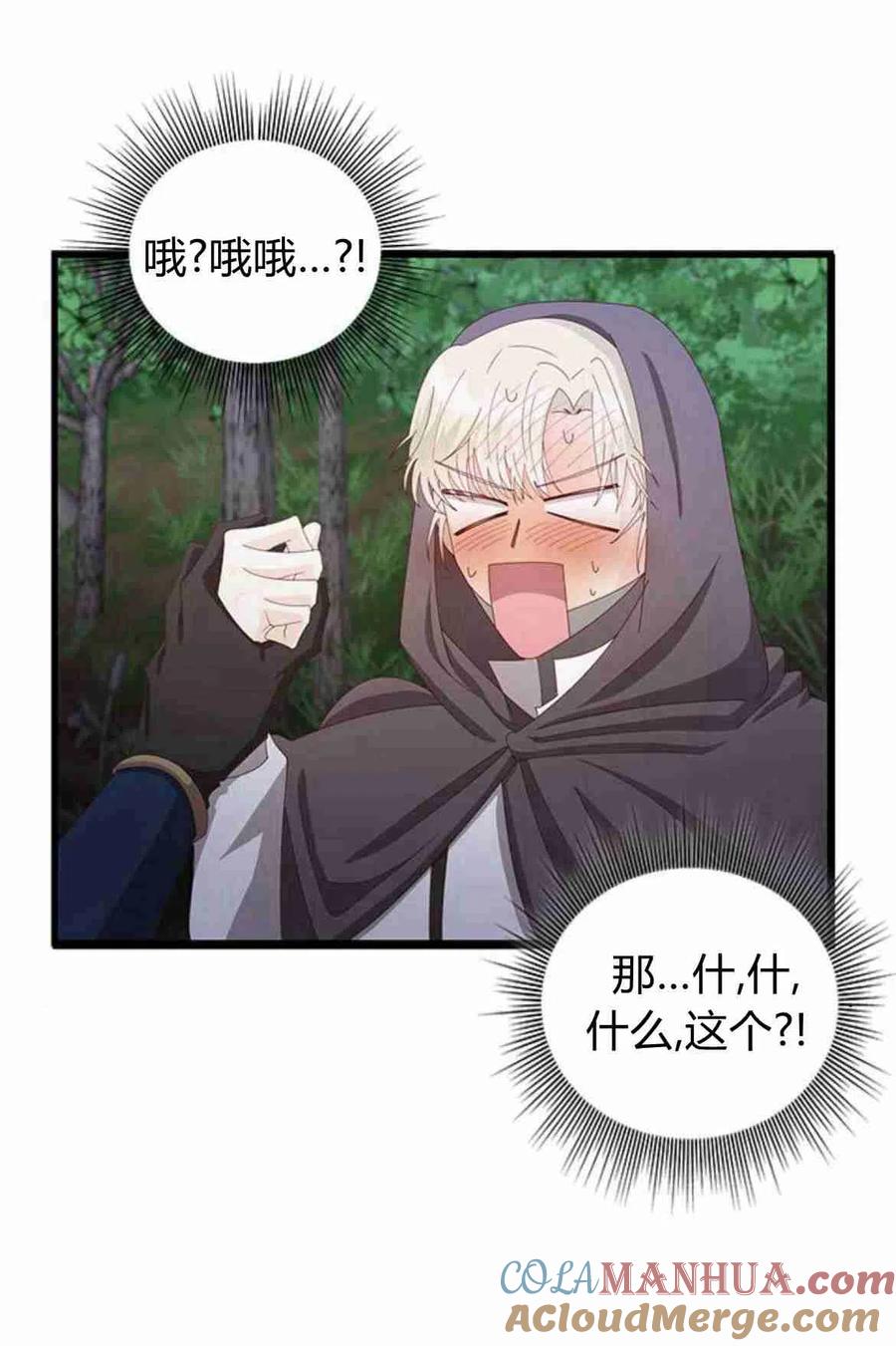 伯爵小姐的双重生活 第13话 第25页