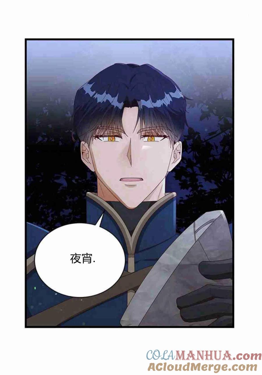 伯爵小姐的双重生活 第14话 第40页