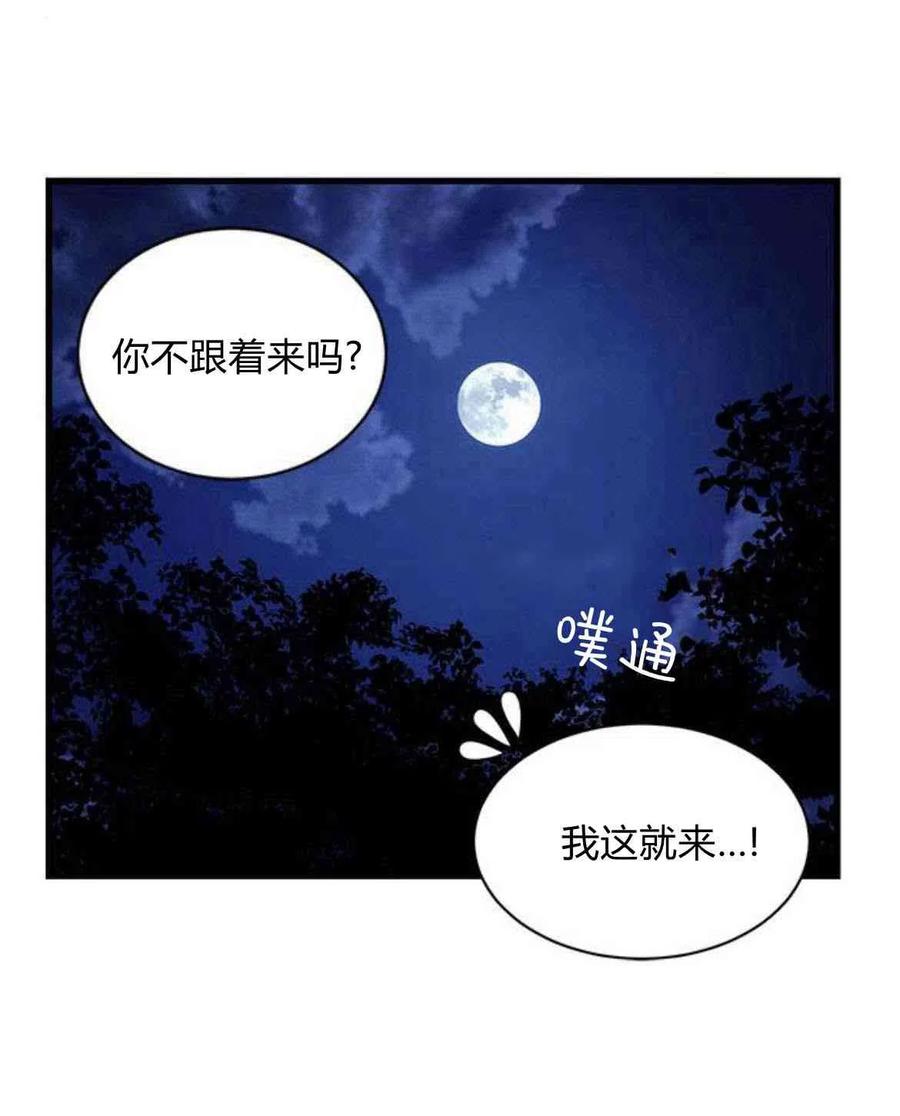 伯爵小姐的双重生活 第14话 第21页