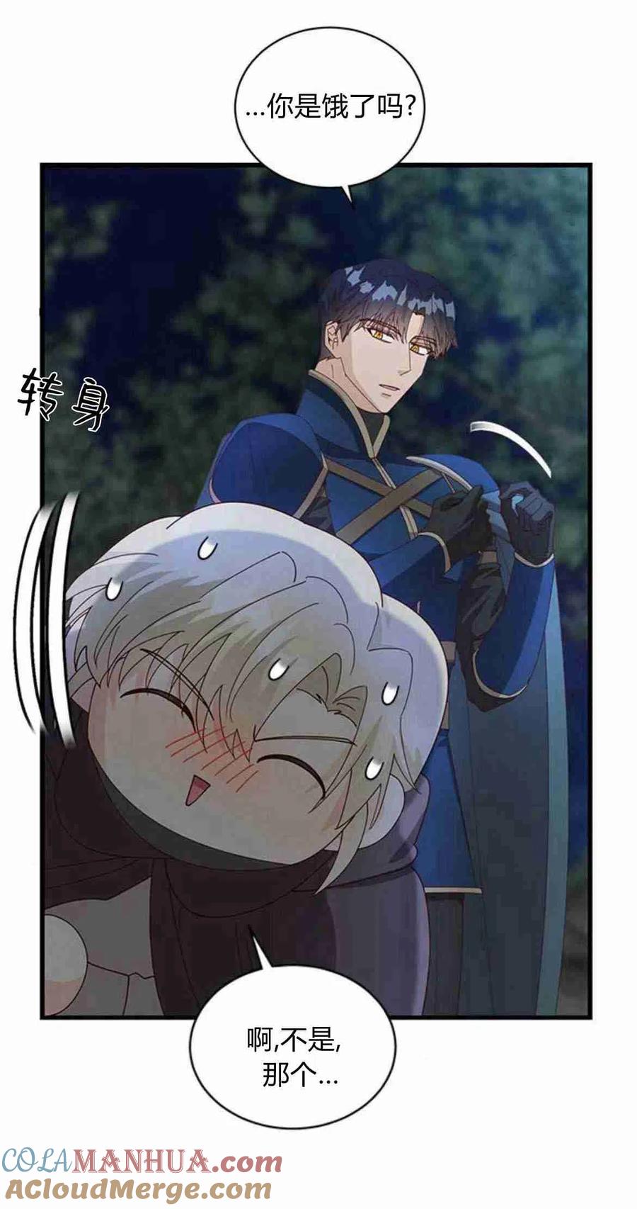 伯爵小姐的双重生活 第14话 第37页