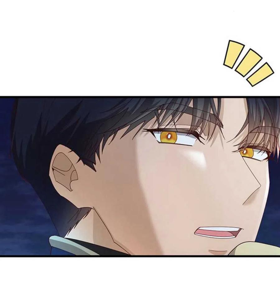 伯爵小姐的双重生活 第14话 第47页