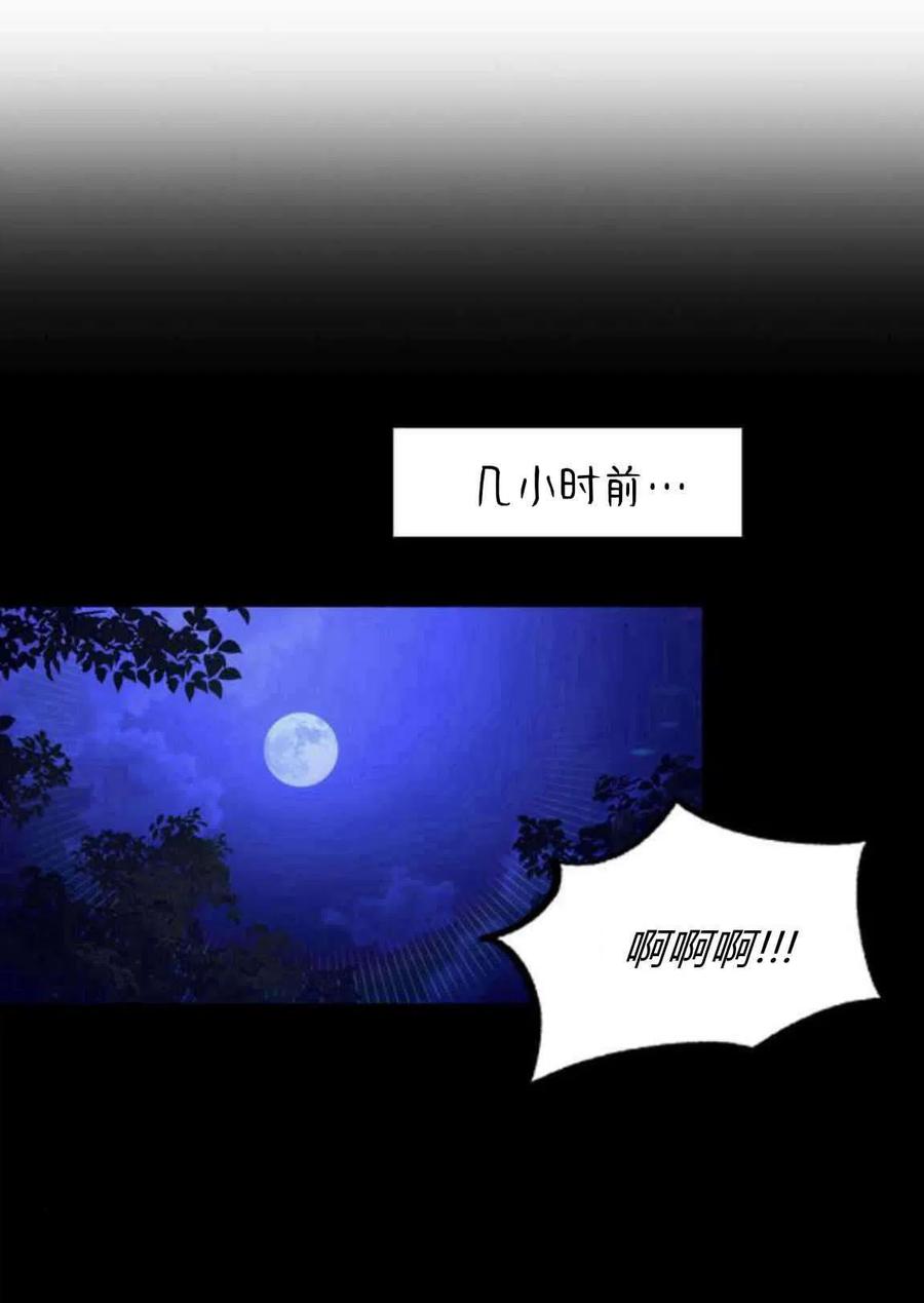 伯爵小姐的双重生活 第15话 第47页