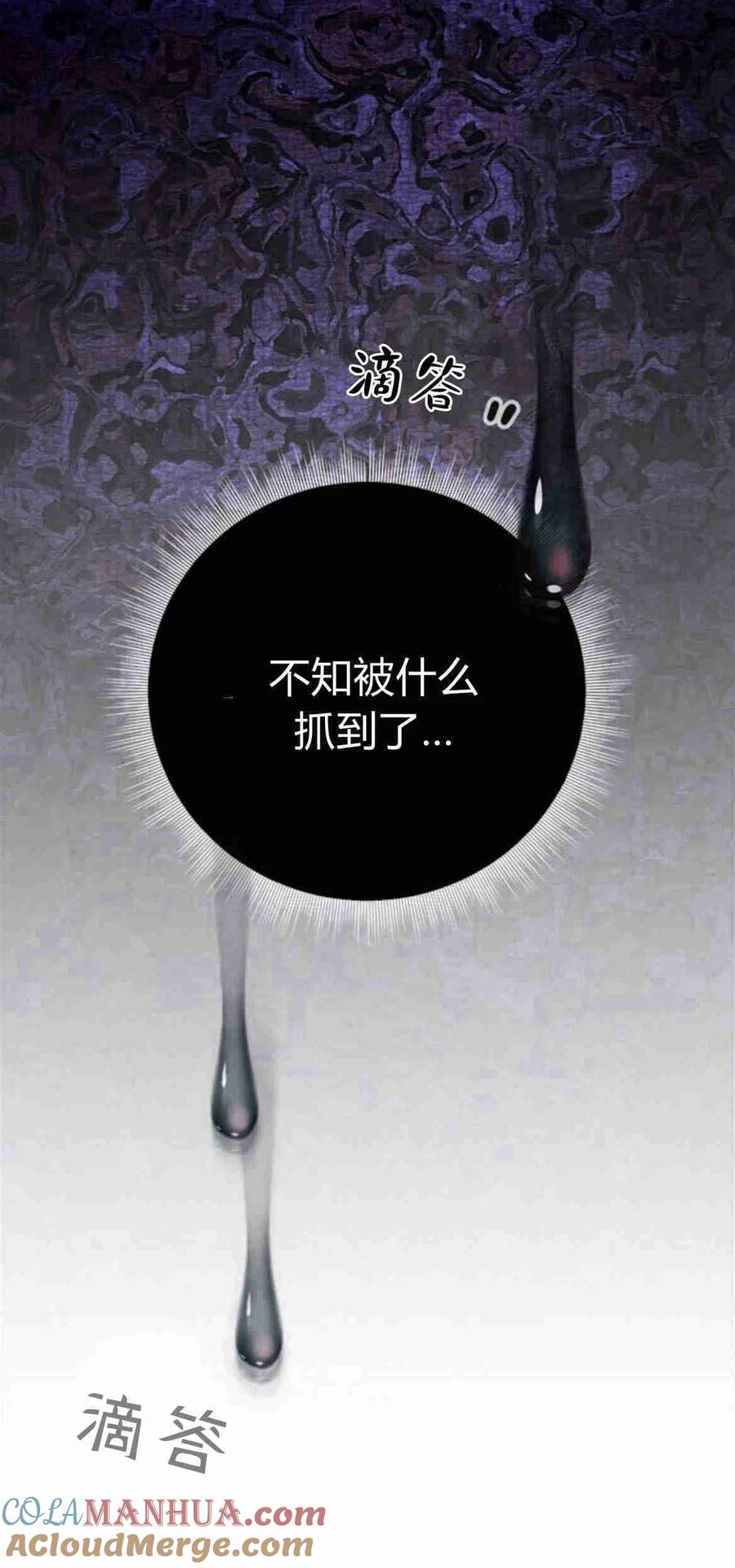 伯爵小姐的双重生活 第15话 第4页