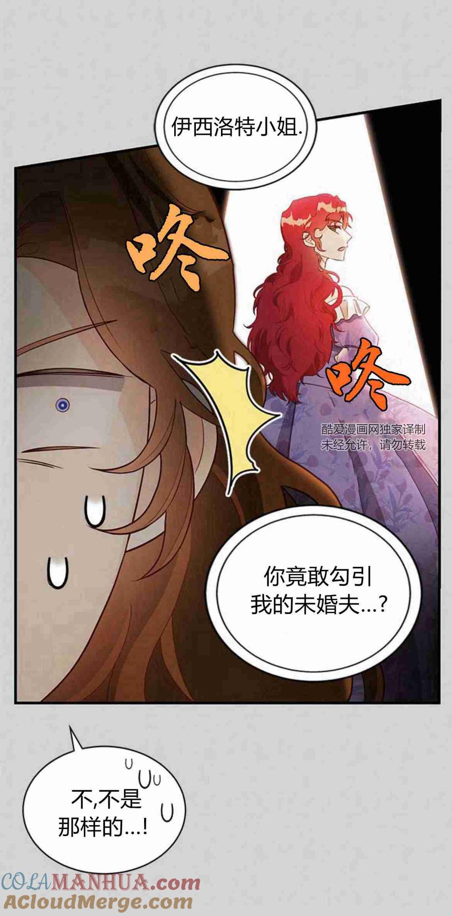 伯爵小姐的双重生活 第16话 第67页
