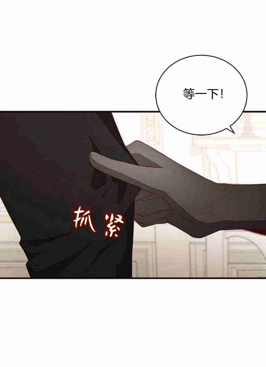 伯爵小姐的双重生活 第18话 第29页