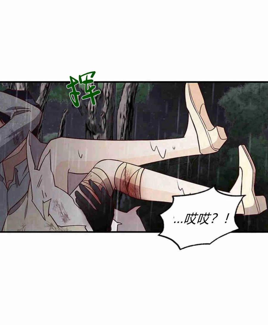伯爵小姐的双重生活 第20话 第71页