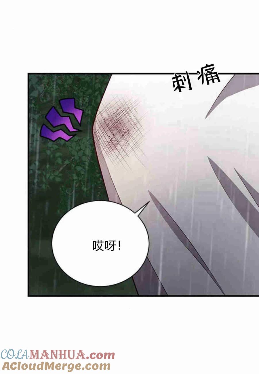 伯爵小姐的双重生活 第20话 第37页
