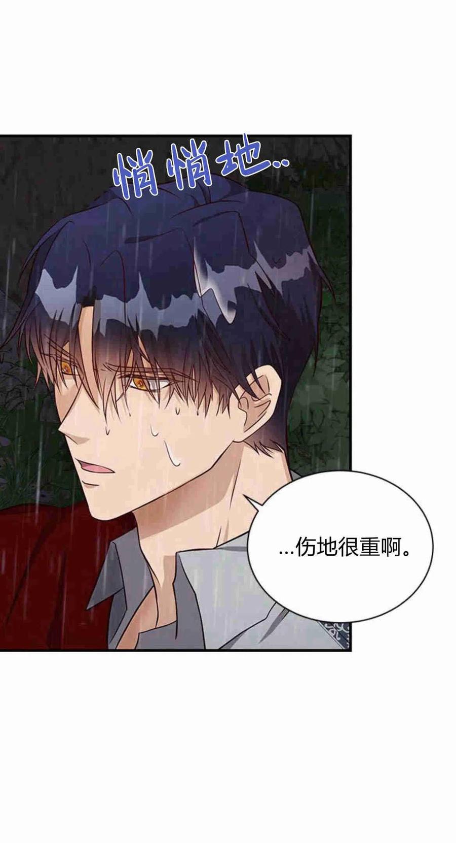 伯爵小姐的双重生活 第20话 第68页