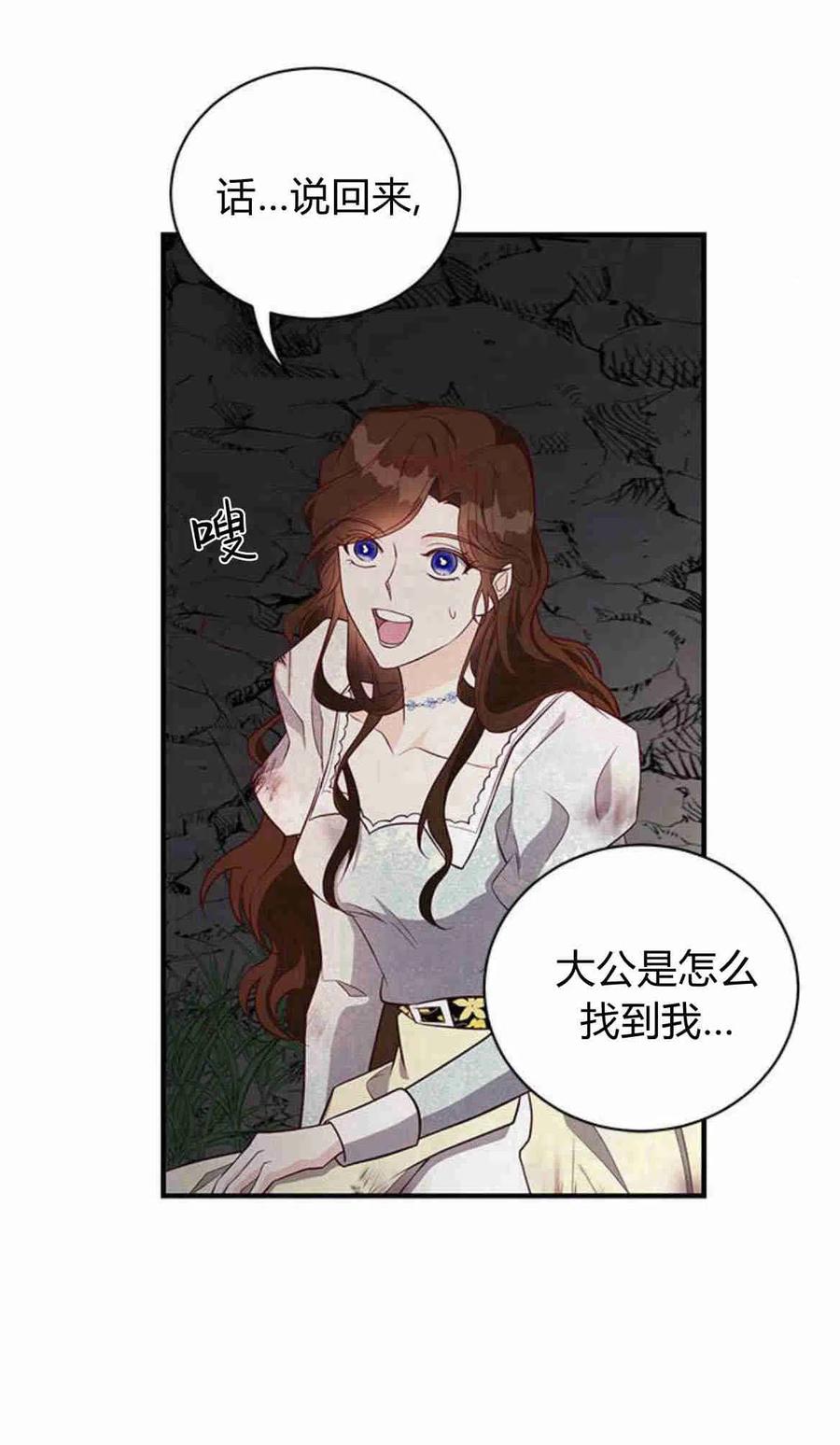 伯爵小姐的双重生活 第20话 第75页