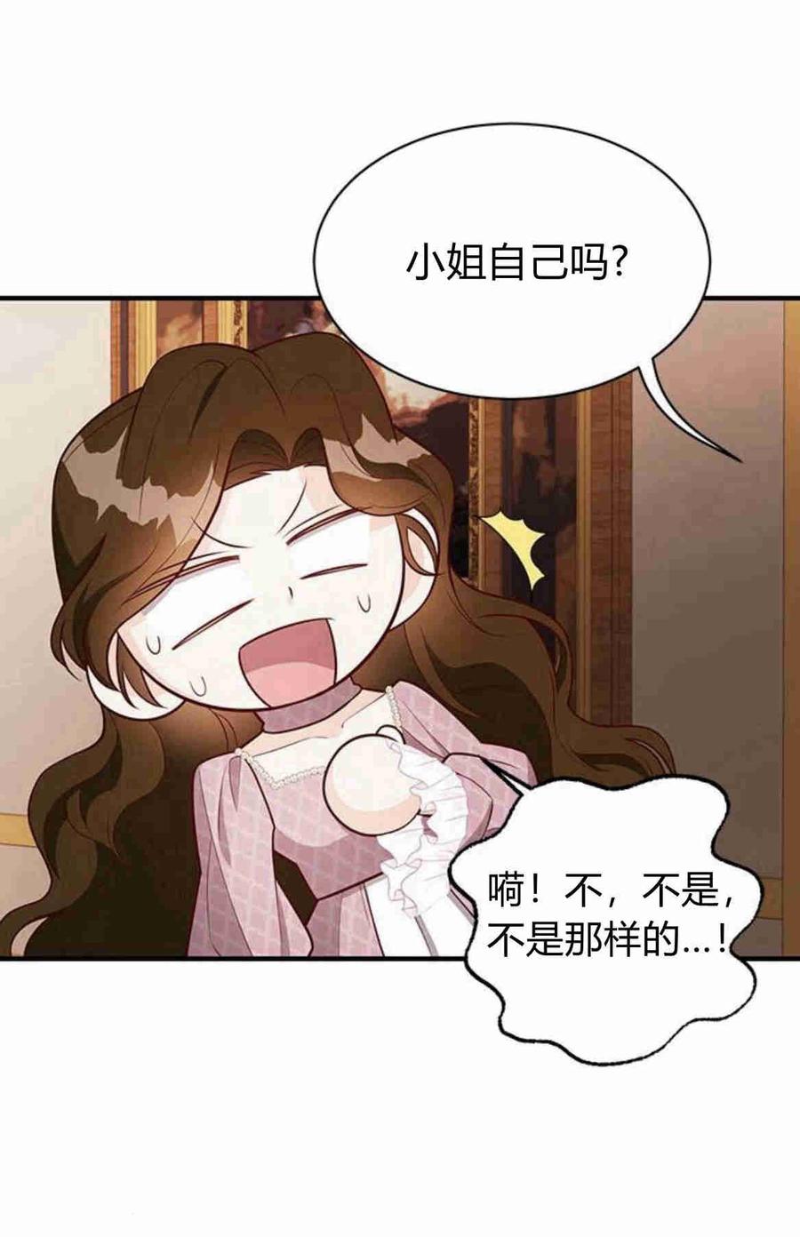 伯爵小姐的双重生活 第24话 第29页